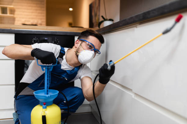 Best Exterminator Services  in West Jefferson, OH