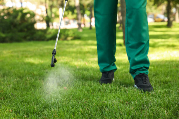 Best Wasp Removal Services  in West Jefferson, OH