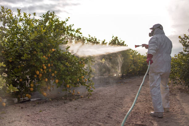 Best Ant Control Services  in West Jefferson, OH