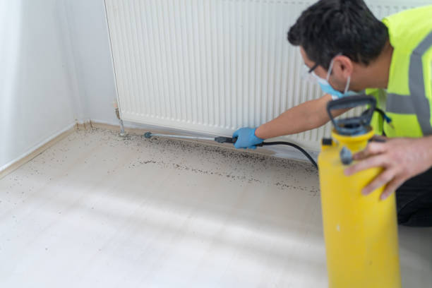 Best Local Pest Control Services  in West Jefferson, OH