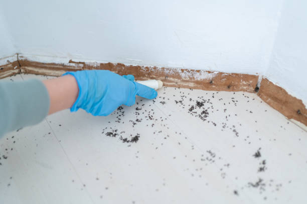 Best Pest Control for Restaurants  in West Jefferson, OH